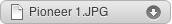 Download file "Pioneer 1.JPG"